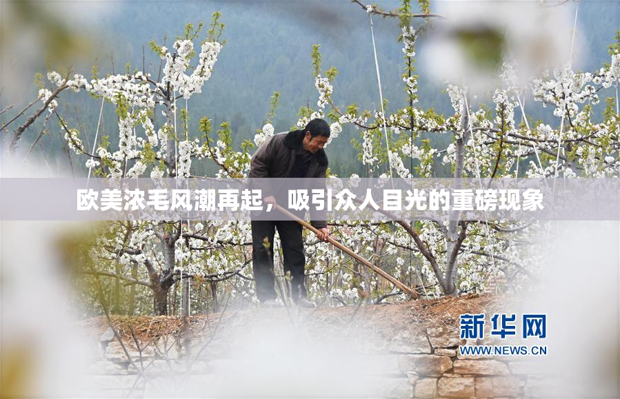 欧美浓毛风潮再起，吸引众人目光的重磅现象