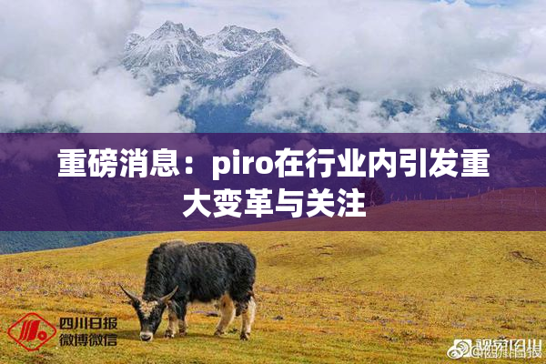 重磅消息：piro在行业内引发重大变革与关注