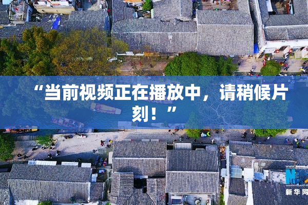 “当前视频正在播放中，请稍候片刻！”