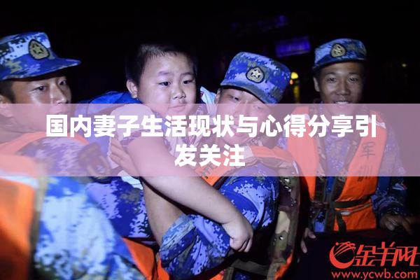 国内妻子生活现状与心得分享引发关注