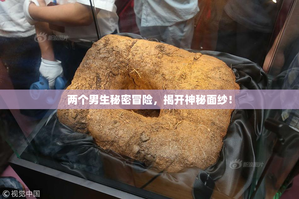 两个男生秘密冒险，揭开神秘面纱！