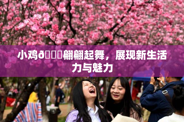 小鸡🐔翩翩起舞，展现新生活力与魅力