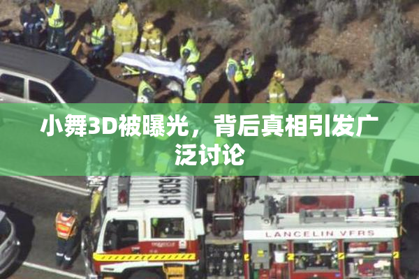 小舞3D被曝光，背后真相引发广泛讨论