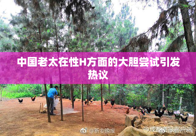 中国老太在性H方面的大胆尝试引发热议