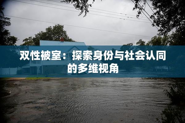 双性被室：探索身份与社会认同的多维视角