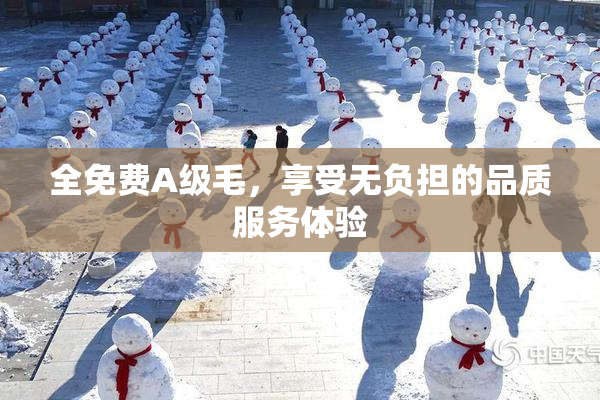 全免费A级毛，享受无负担的品质服务体验