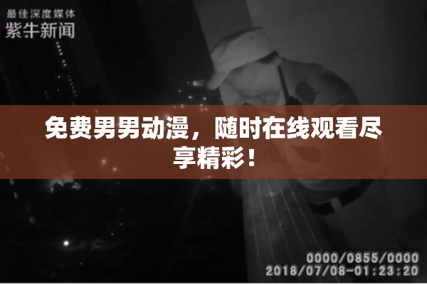 免费男男动漫，随时在线观看尽享精彩！