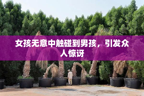 女孩无意中触碰到男孩，引发众人惊讶