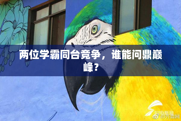 两位学霸同台竞争，谁能问鼎巅峰？