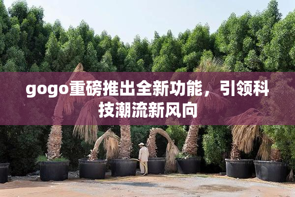 gogo重磅推出全新功能，引领科技潮流新风向