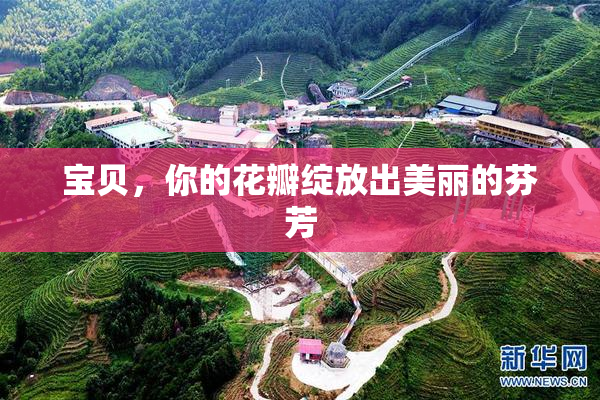 宝贝，你的花瓣绽放出美丽的芬芳