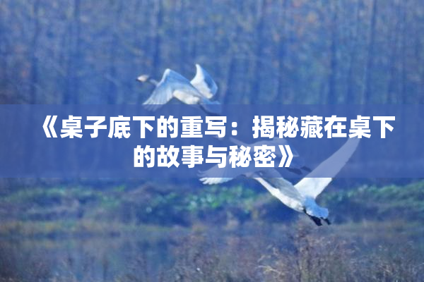 《桌子底下的重写：揭秘藏在桌下的故事与秘密》