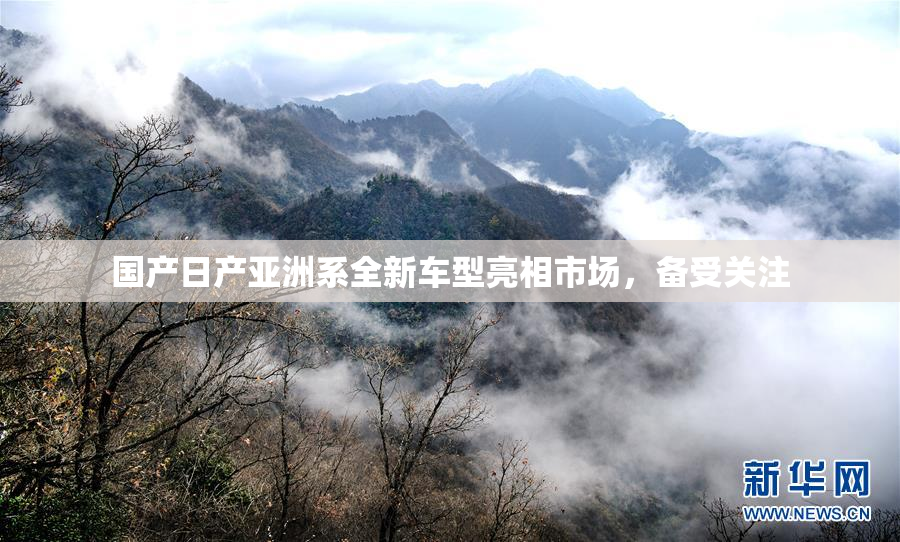 国产日产亚洲系全新车型亮相市场，备受关注