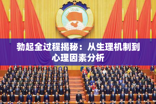 勃起全过程揭秘：从生理机制到心理因素分析