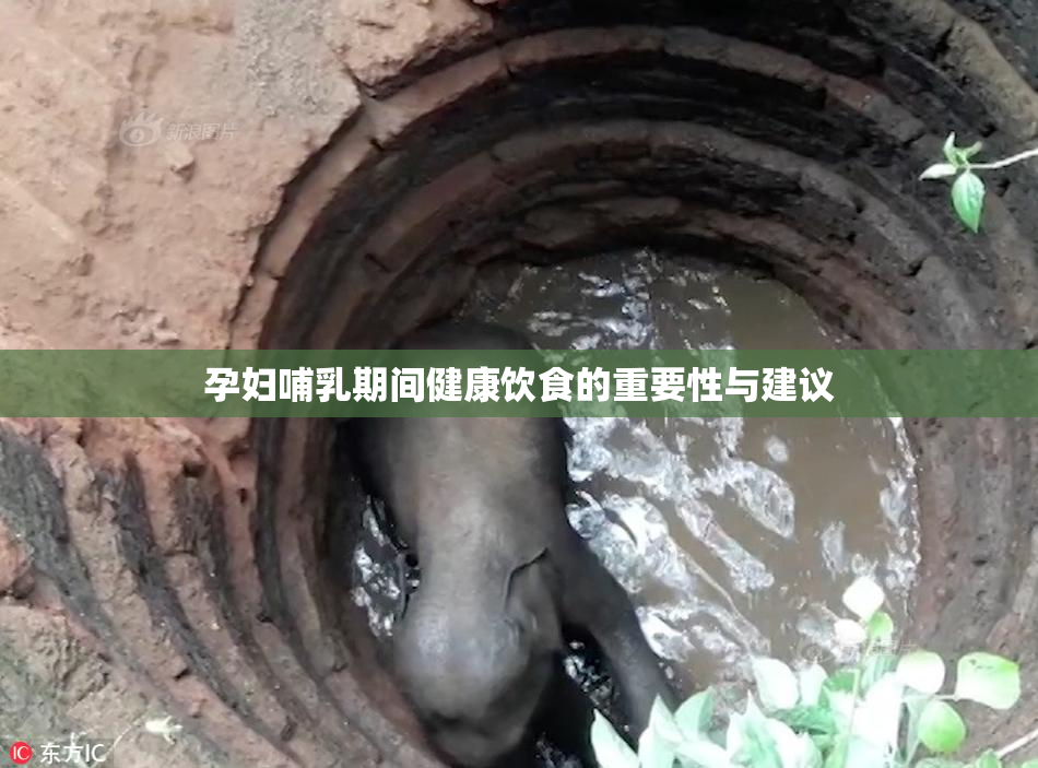 孕妇哺乳期间健康饮食的重要性与建议
