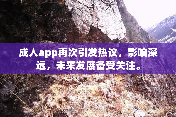 成人app再次引发热议，影响深远，未来发展备受关注。