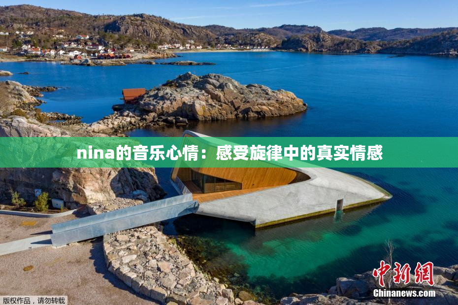 nina的音乐心情：感受旋律中的真实情感