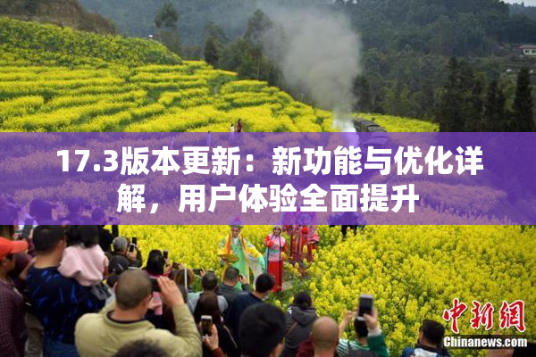 17.3版本更新：新功能与优化详解，用户体验全面提升