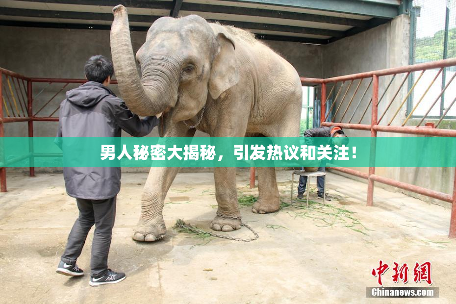 男人秘密大揭秘，引发热议和关注！