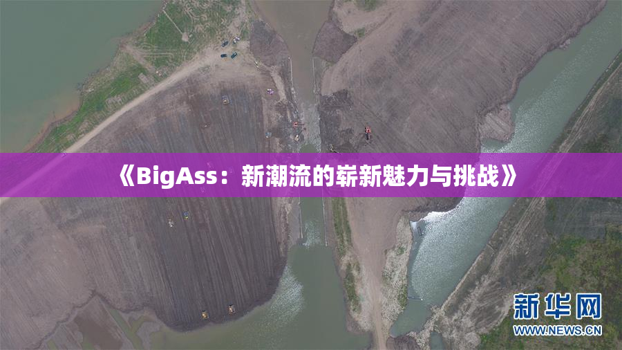 《BigAss：新潮流的崭新魅力与挑战》