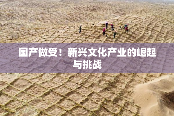 国产做受！新兴文化产业的崛起与挑战