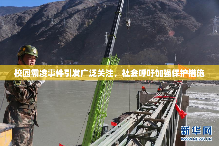 校园霸凌事件引发广泛关注，社会呼吁加强保护措施