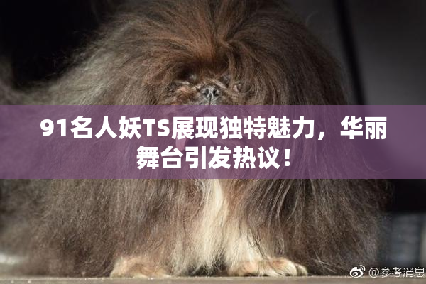91名人妖TS展现独特魅力，华丽舞台引发热议！