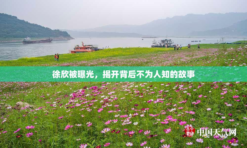 徐欣被曝光，揭开背后不为人知的故事