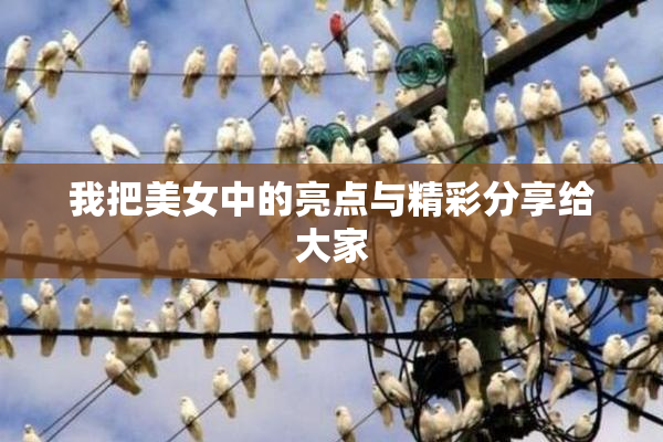 我把美女中的亮点与精彩分享给大家