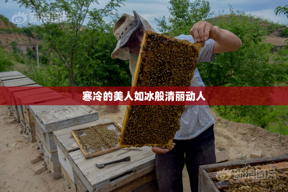 寒冷的美人如冰般清丽动人