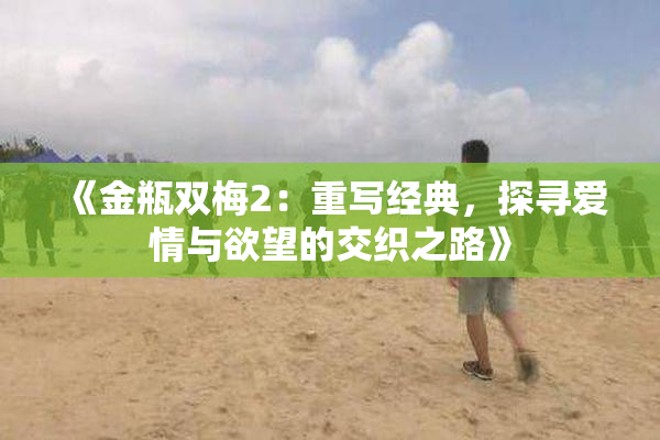 《金瓶双梅2：重写经典，探寻爱情与欲望的交织之路》