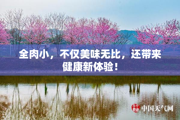 全肉小，不仅美味无比，还带来健康新体验！