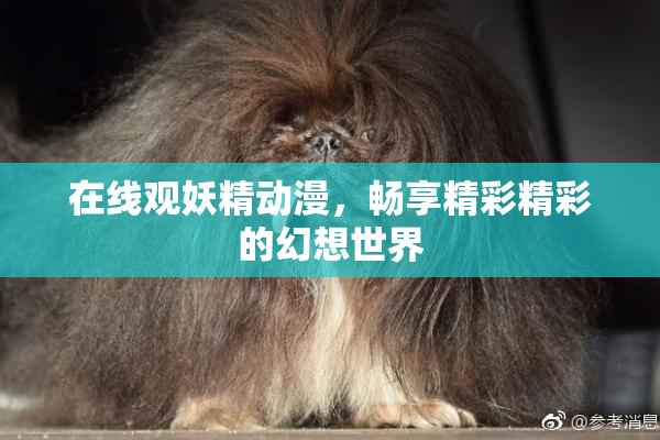 在线观妖精动漫，畅享精彩精彩的幻想世界