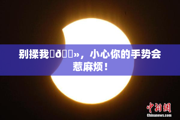 别揉我‌🐻，小心你的手势会惹麻烦！