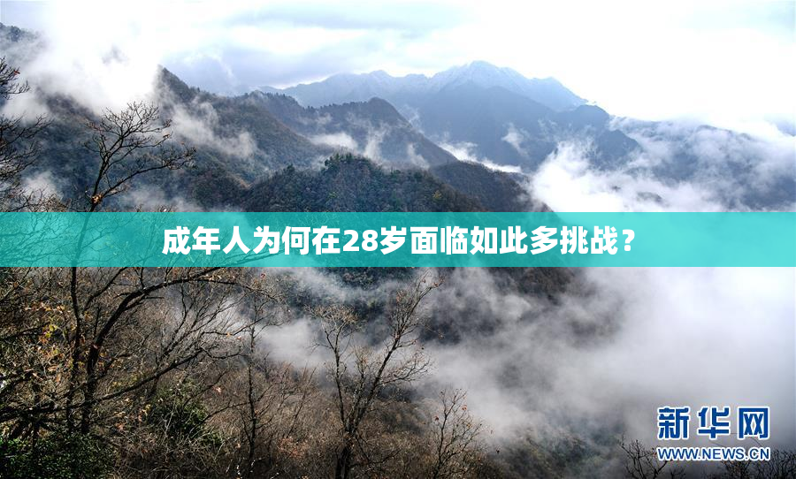 成年人为何在28岁面临如此多挑战？