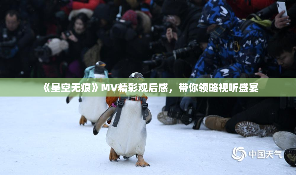 《星空无痕》MV精彩观后感，带你领略视听盛宴