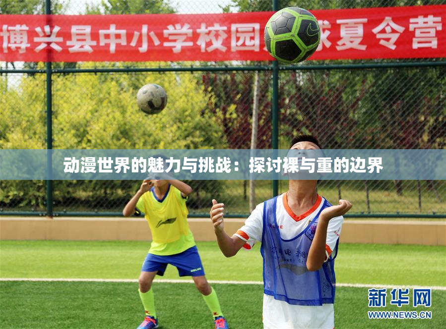 动漫世界的魅力与挑战：探讨裸与重的边界