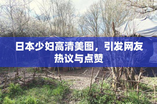日本少妇高清美图，引发网友热议与点赞