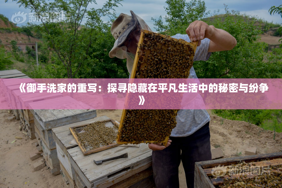 《御手洗家的重写：探寻隐藏在平凡生活中的秘密与纷争》