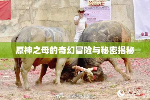 原神之母的奇幻冒险与秘密揭秘