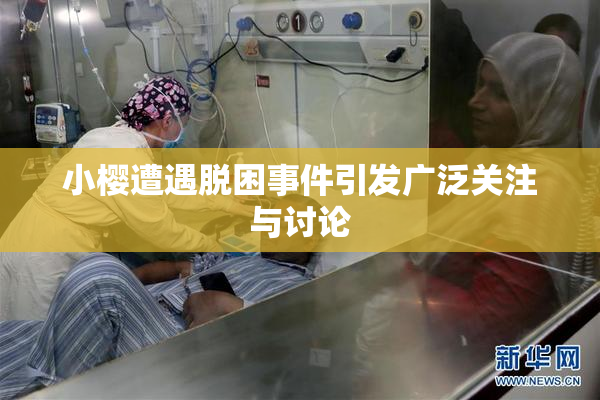 小樱遭遇脱困事件引发广泛关注与讨论
