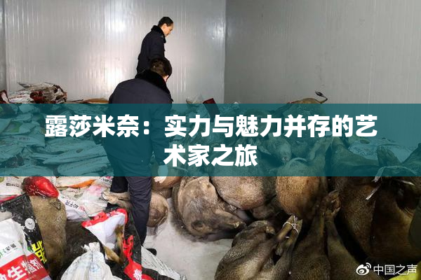 露莎米奈：实力与魅力并存的艺术家之旅