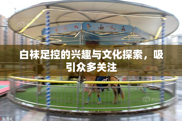 白袜足控的兴趣与文化探索，吸引众多关注