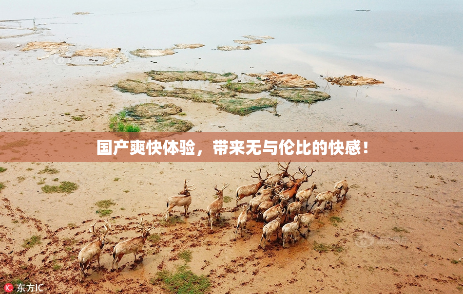 国产爽快体验，带来无与伦比的快感！