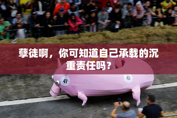 孽徒啊，你可知道自己承载的沉重责任吗？