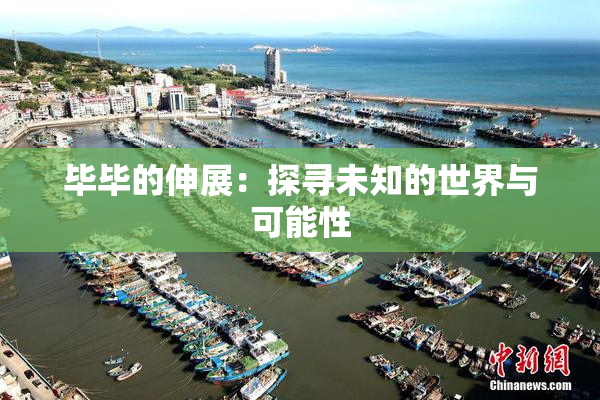 毕毕的伸展：探寻未知的世界与可能性