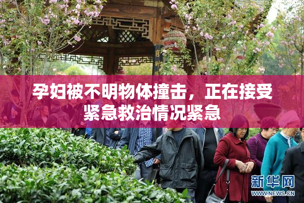 孕妇被不明物体撞击，正在接受紧急救治情况紧急
