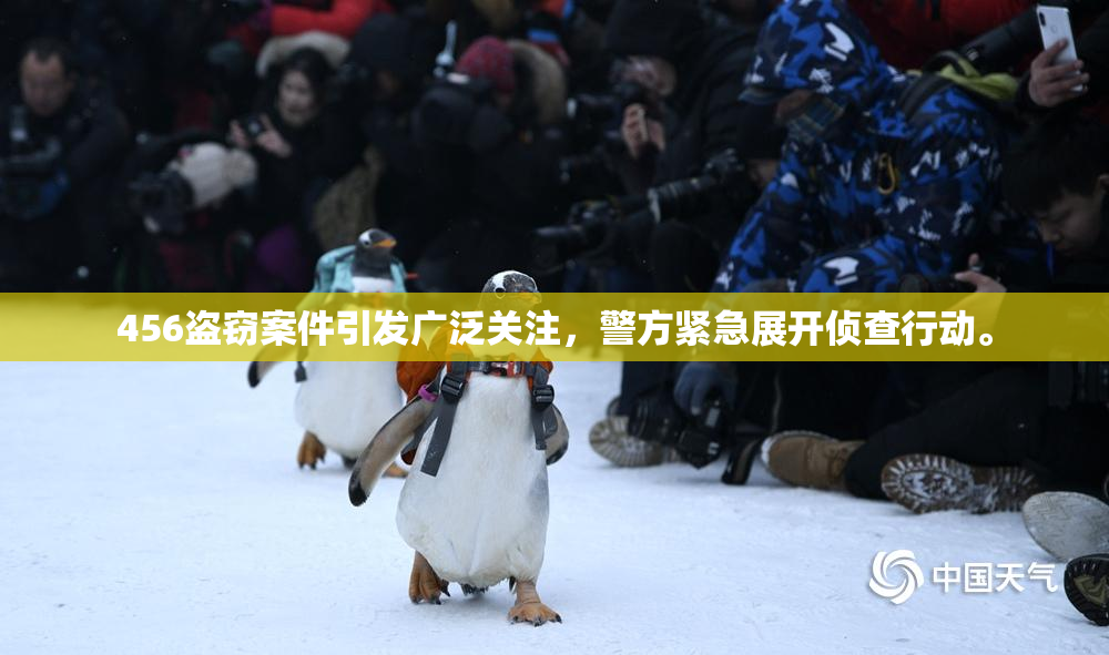 456盗窃案件引发广泛关注，警方紧急展开侦查行动。