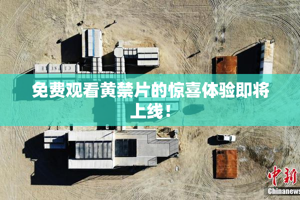 免费观看黄禁片的惊喜体验即将上线！
