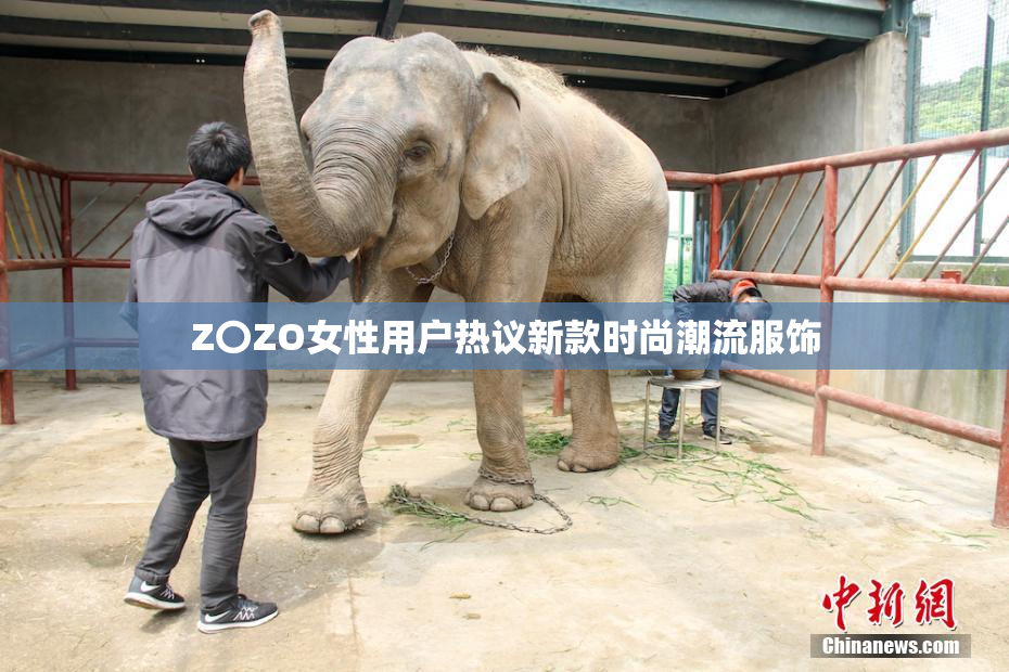 Z〇ZO女性用户热议新款时尚潮流服饰